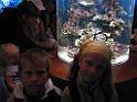 WLA_2009 (137)